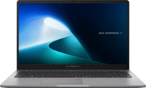ASUS ExpertBook P1 (P1503CVA)